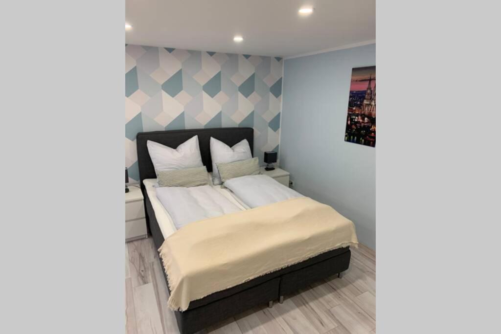 Modern Renovated Apartment Suited For Business Consultants - In Close Distance To Dt, Dhl And Un Campus - Reserved Parking Бонн Экстерьер фото