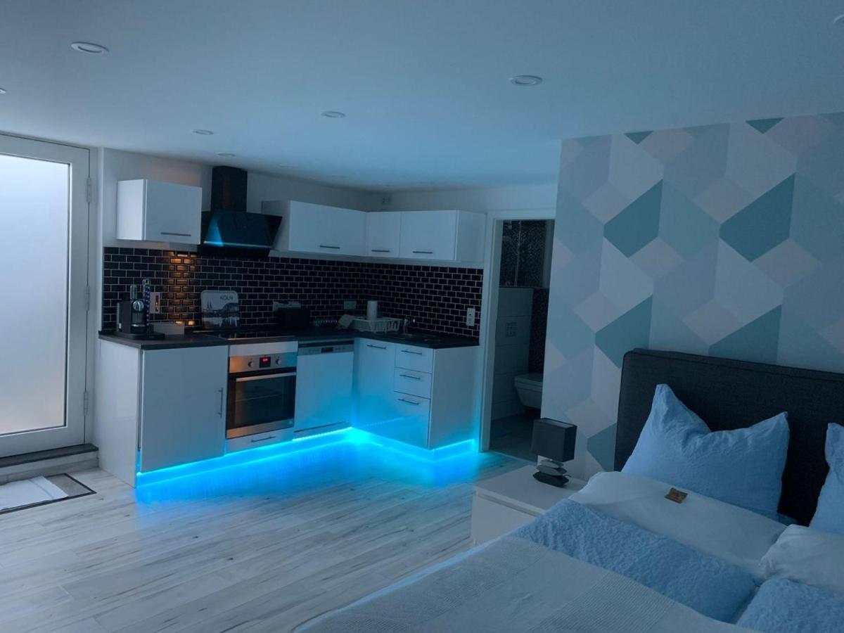 Modern Renovated Apartment Suited For Business Consultants - In Close Distance To Dt, Dhl And Un Campus - Reserved Parking Бонн Экстерьер фото